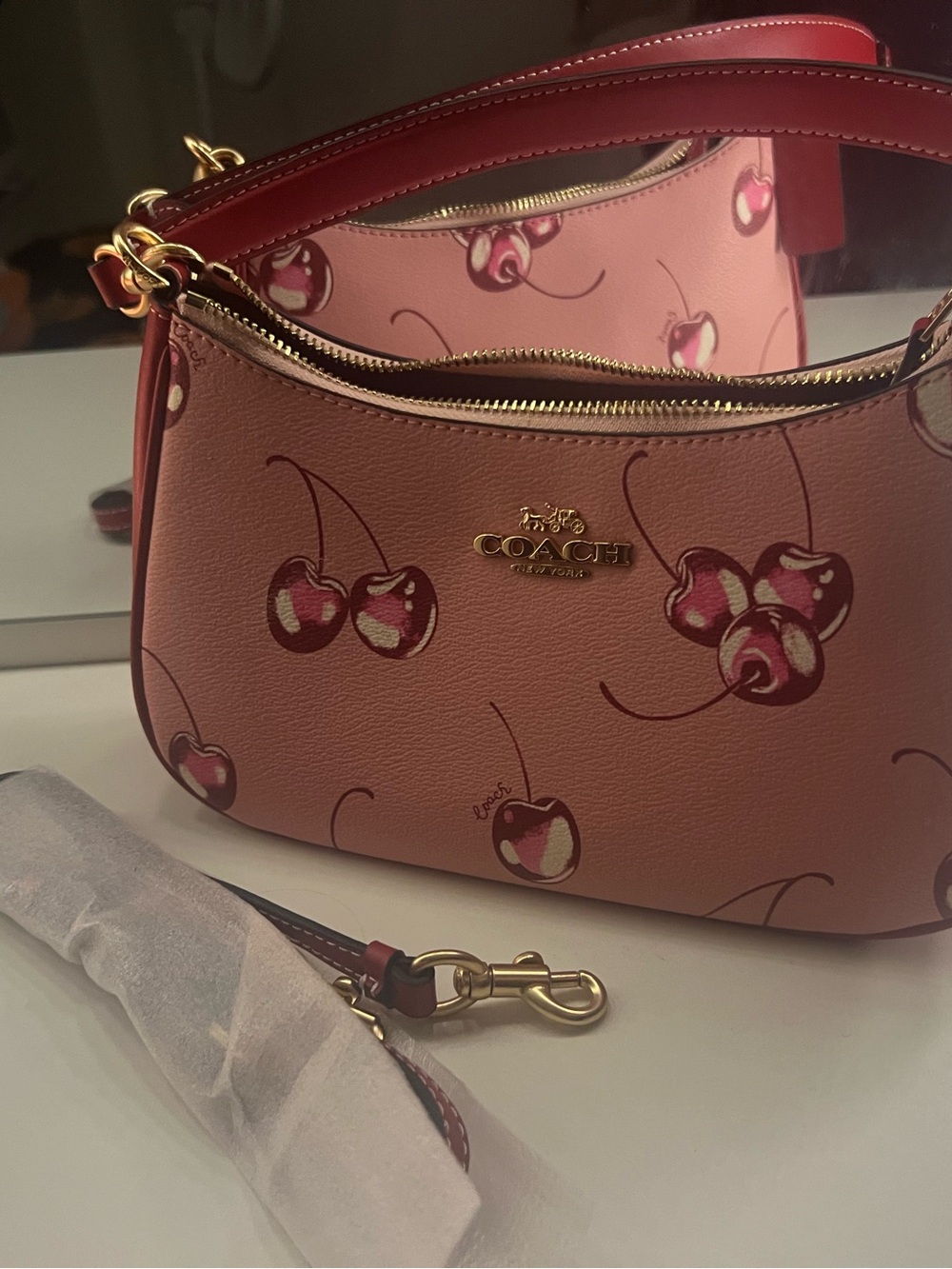 Coach Terri Pink Cherry-Print Leather Shoulder Bag